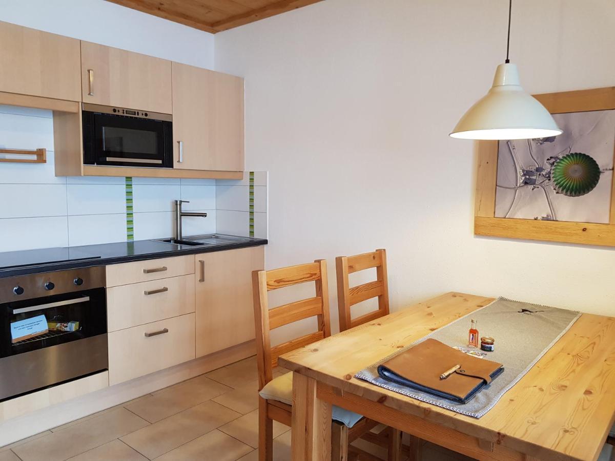 Appartements Gosaukamm.Com エクステリア 写真