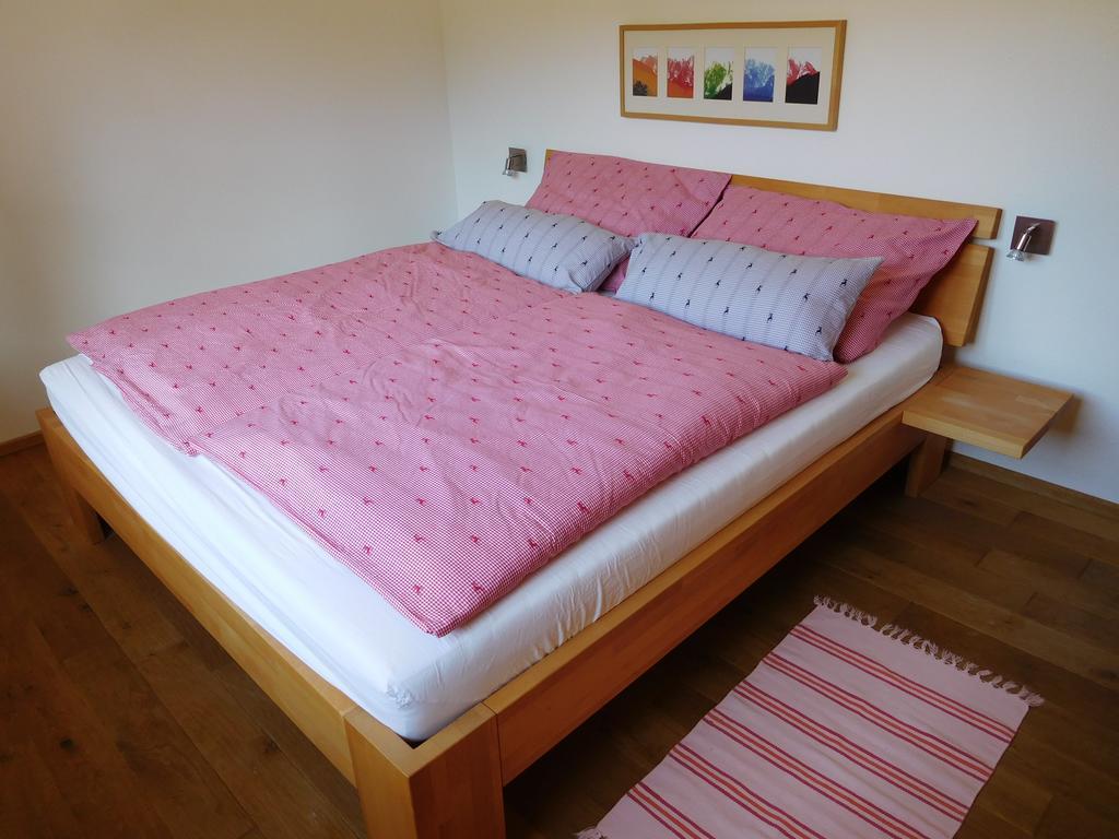 Appartements Gosaukamm.Com エクステリア 写真