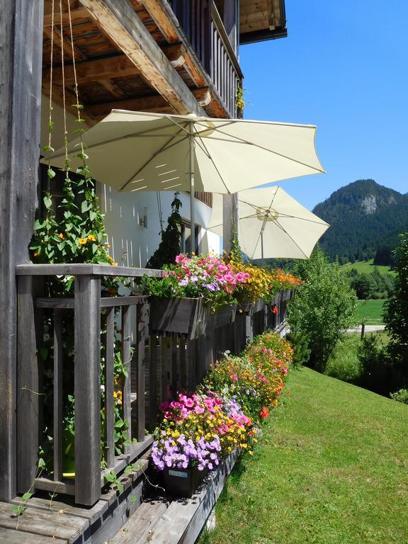 Appartements Gosaukamm.Com エクステリア 写真