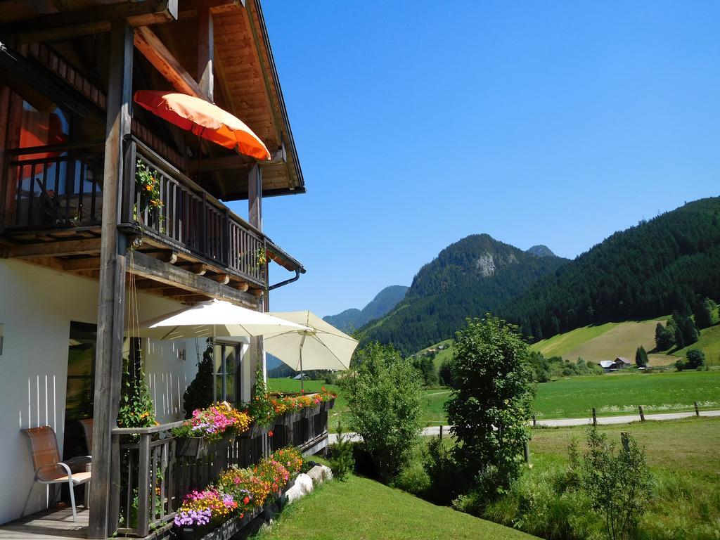 Appartements Gosaukamm.Com エクステリア 写真