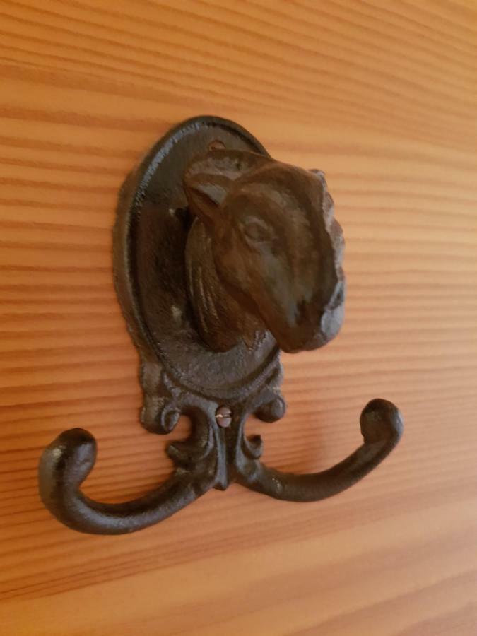 Appartements Gosaukamm.Com エクステリア 写真