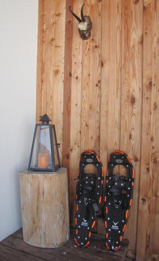 Appartements Gosaukamm.Com エクステリア 写真
