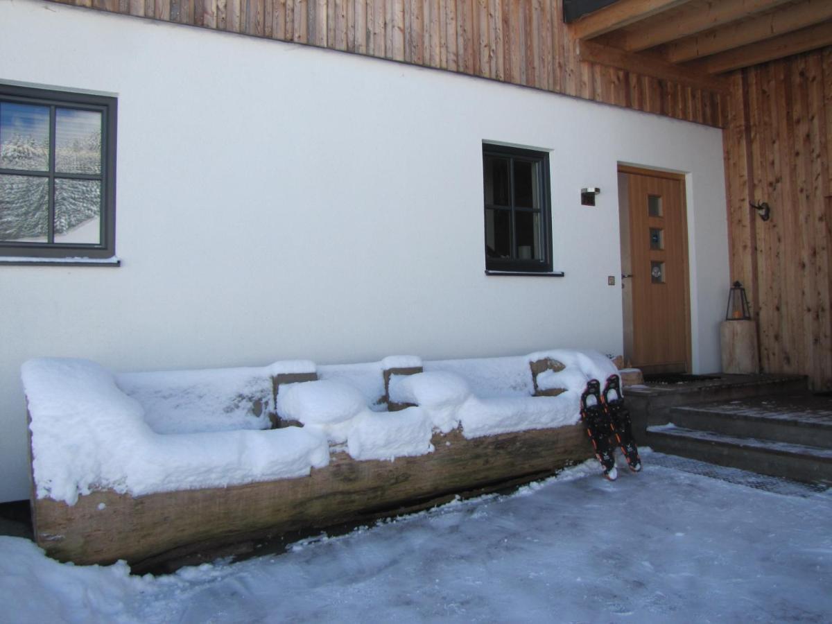Appartements Gosaukamm.Com エクステリア 写真